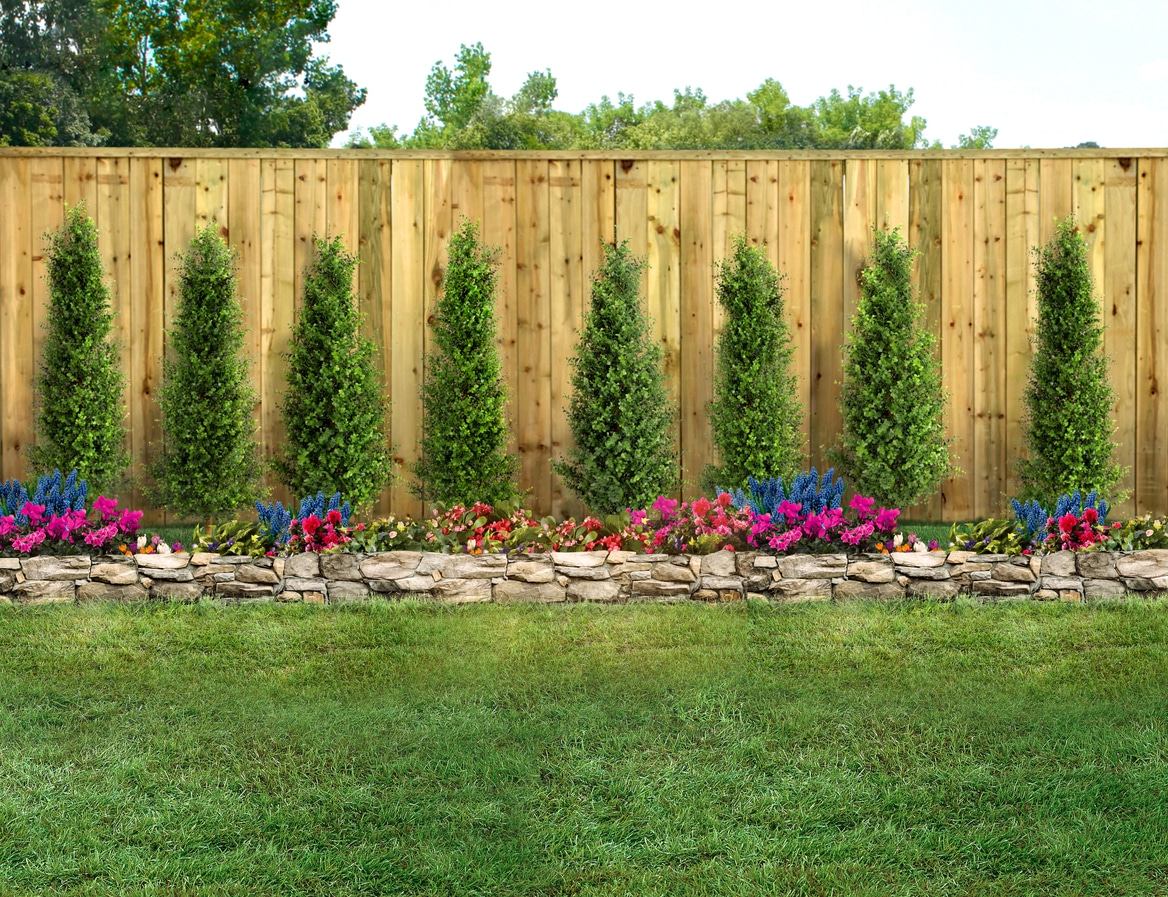 Woody Ornamentals